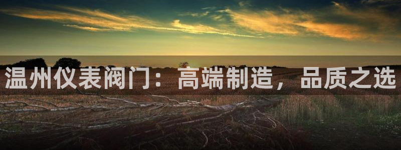 云顶国际游戏网址是什么