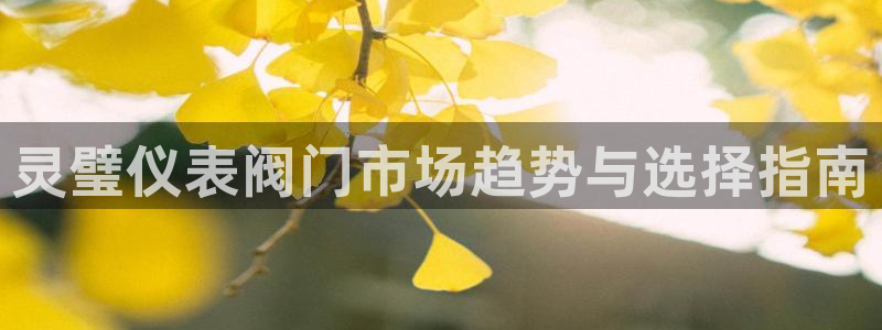 云顶国际缆车起点在哪里啊多少钱