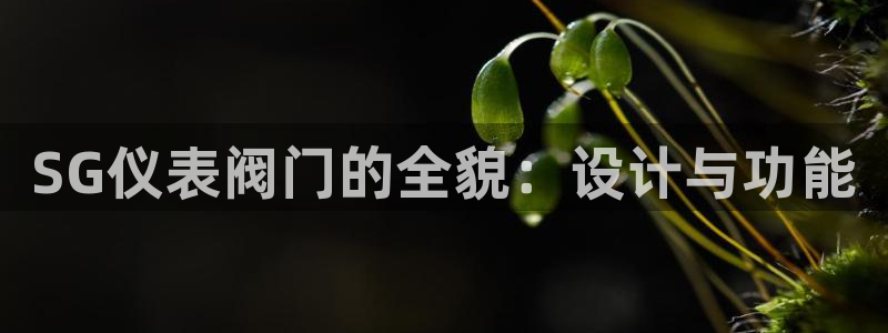 云顶国际公馆产权年限