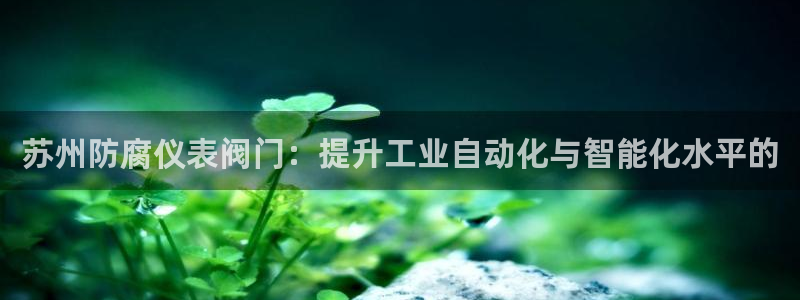 云顶国际怎么样