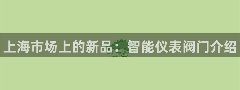 云顶国际是什么软件