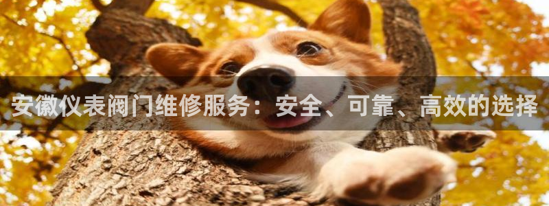 云顶国际宴会中心怎么样