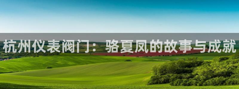 云顶国际部HKDSE