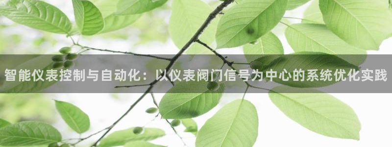 云顶国际网站