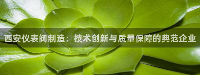 云顶集团3118官网