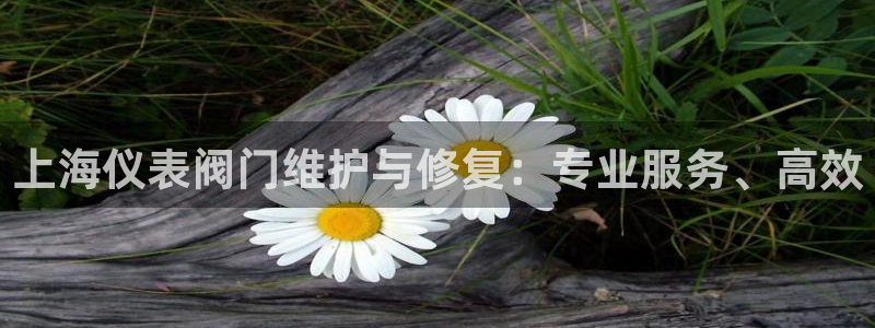 云顶集团有限公司招聘