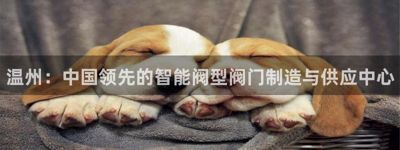 云顶集团网站安全吗