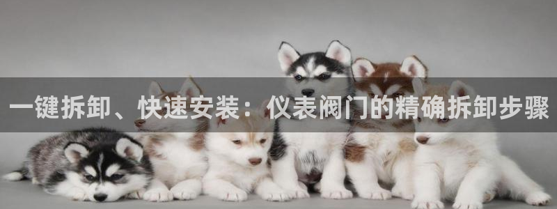 云顶国际是正规平台吗安全吗