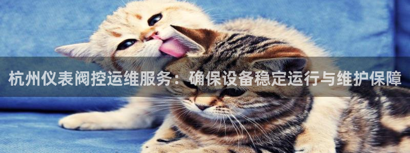 云顶国际提现多久到账