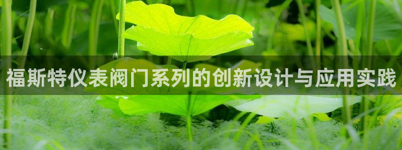 云顶集团网投领头