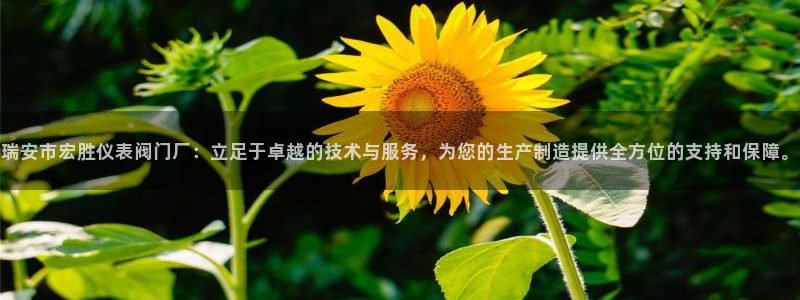 云顶国际怎么进不去了