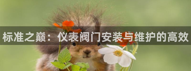 云顶集团中国区执行总裁是谁