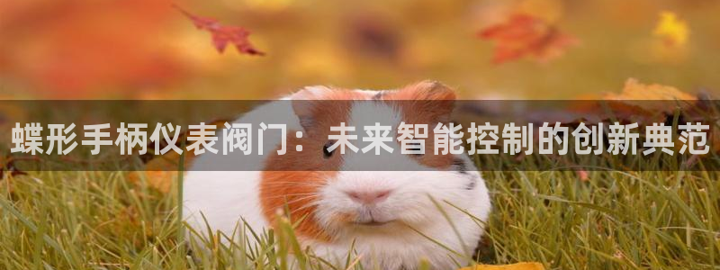 云顶国际晟荣协会会长是谁