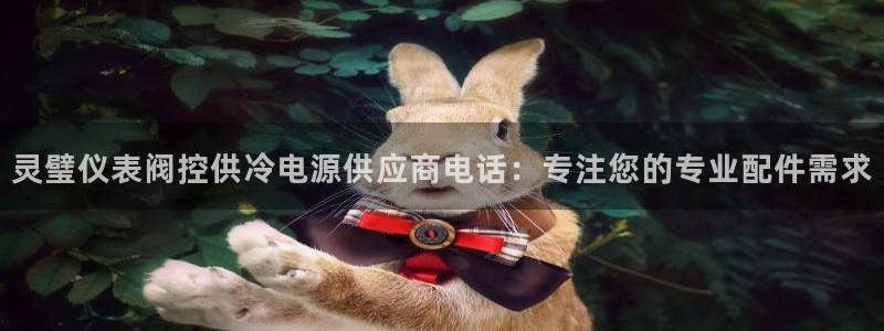 云顶最新调整