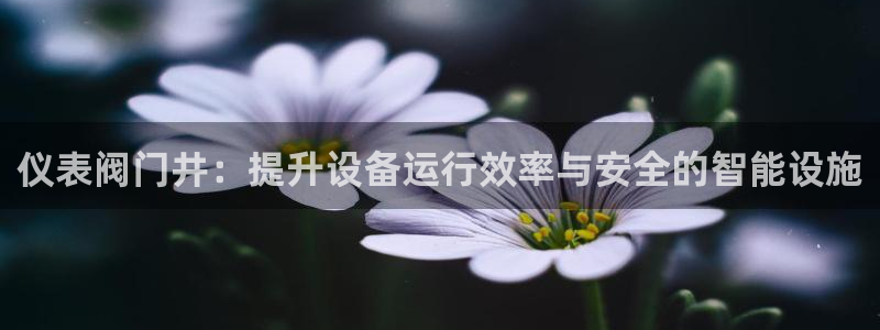 云顶集团有限公司简介资料