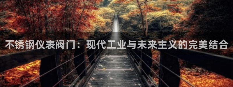 云顶国际电子游戏怎么玩
