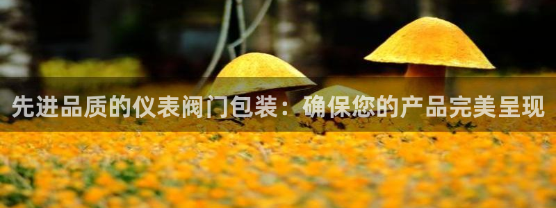云顶国际app怎么样好用吗