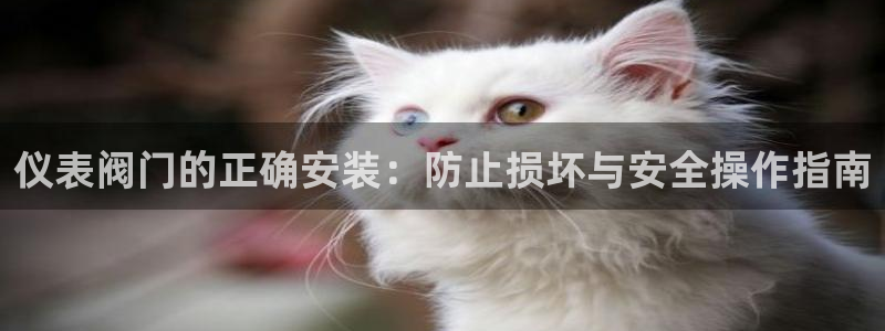云顶集团在哪里