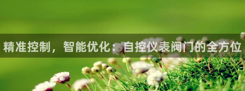 云顶国际房地产有限公司