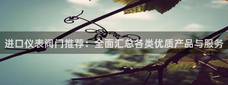 云顶国际是真实网站吗安全吗
