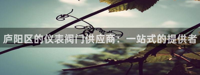云顶路线图