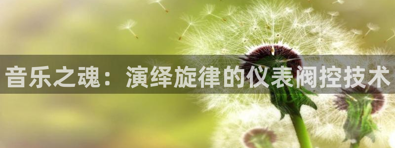 云顶国际游戏平台
