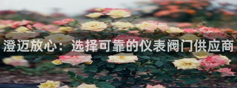 云顶集团中国公司