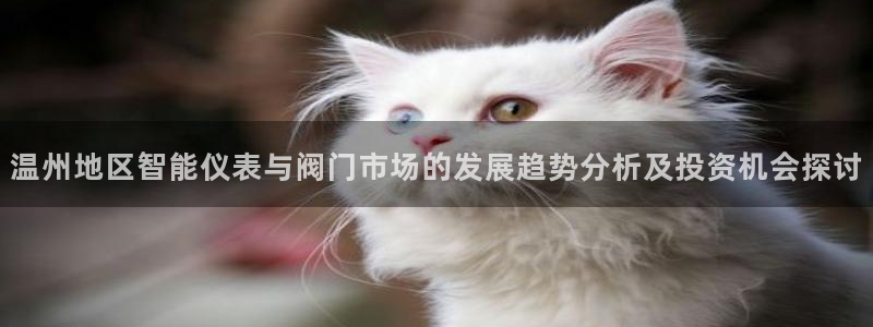 云顶国际app手机版下载