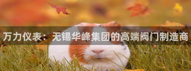 云顶国际在线购彩怎么买