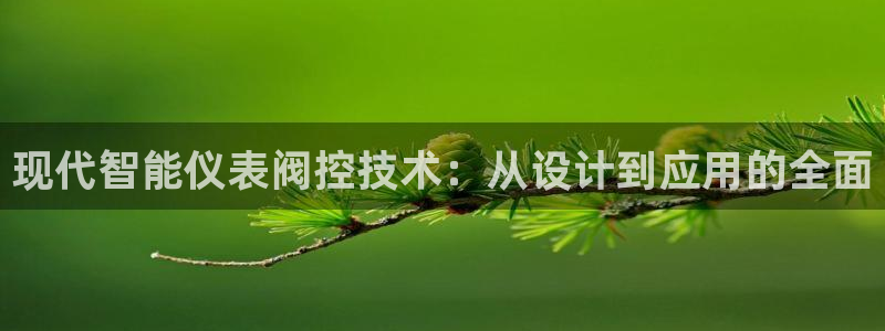 云顶国际商业广场 停车