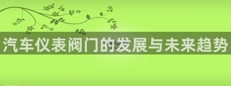 云顶国际游戏网址是什么
