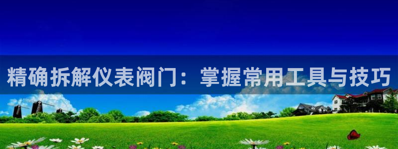 云顶国际物流有限公司