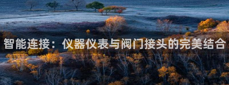云顶集团林东简介