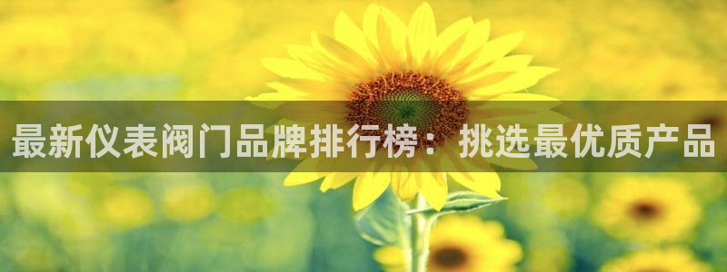 云顶国际平台游戏可靠吗