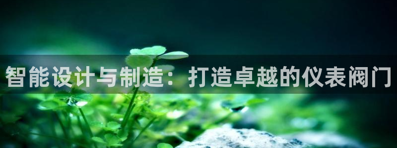 云顶国际服更新时间是几点