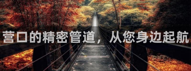 云顶集团有限公司简介概况