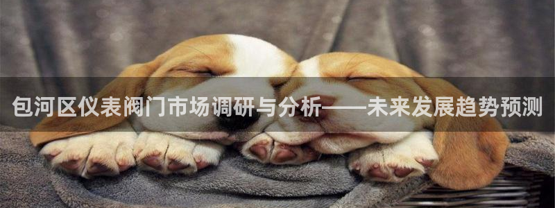 云顶路线图