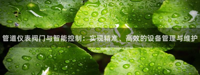 云顶高中国际部学费
