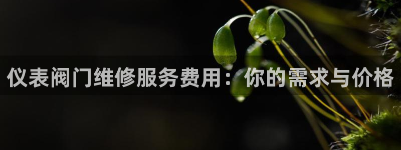怎么下载云顶国际服