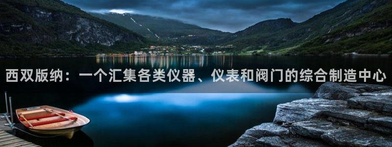 云顶集团有限公司简介图片