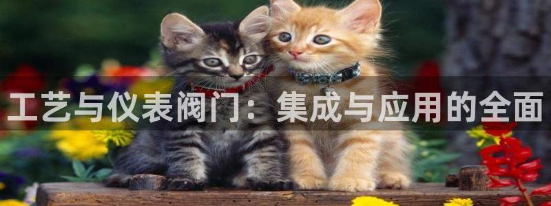 云顶国际部