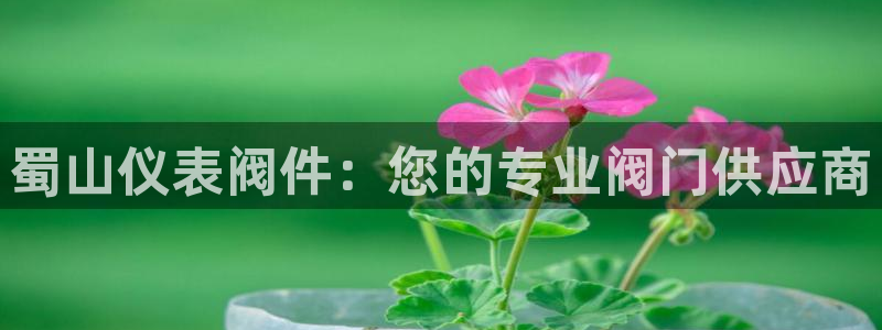 临沂云顶国际