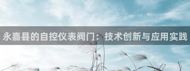 yd云顶集团app下载