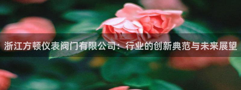 云顶国际服s6