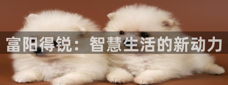 云顶国际集团官网