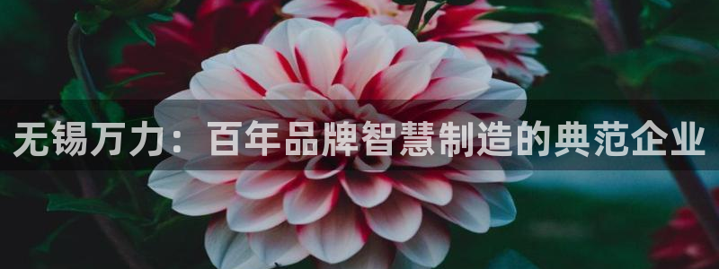 云顶国际商业广场 停车