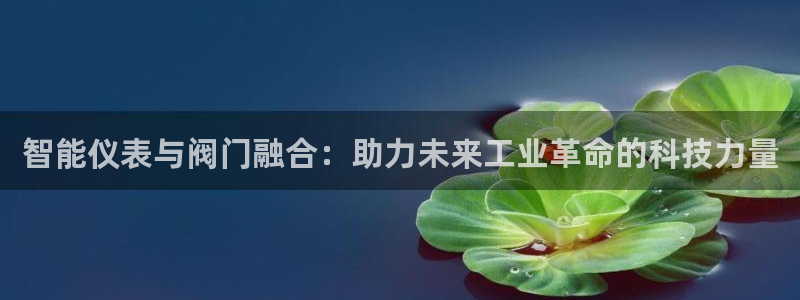 云顶集团中国区总裁