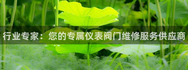 云顶国际服什么时候更新s11