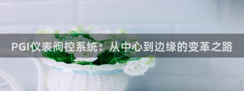 云顶集团董事长林东简历照片