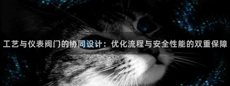 云顶国际大酒店停车场收费